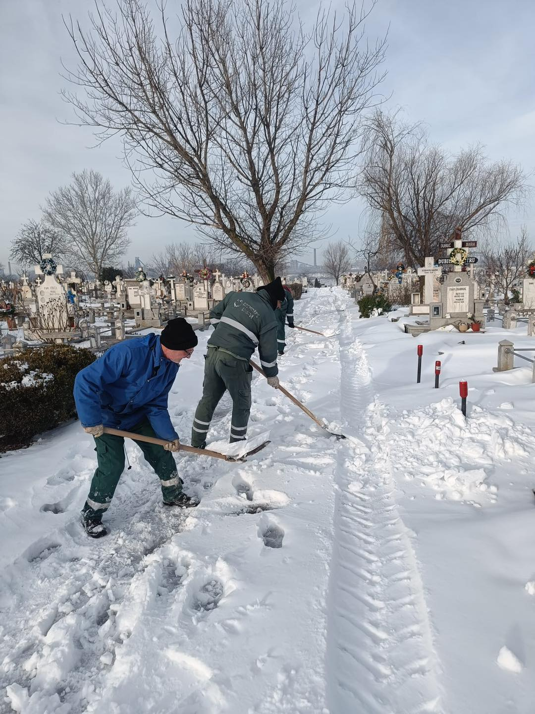 Murim așa de mult că nu mai încăpem în cimitire