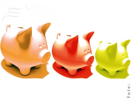 Banii partidelor, la control