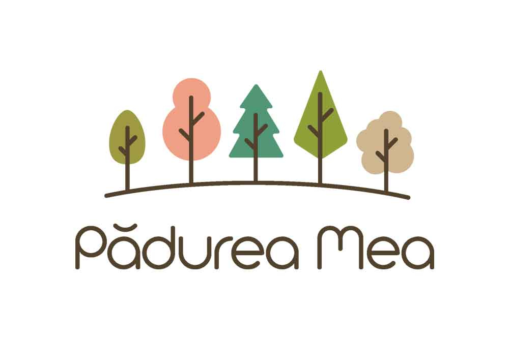 Proiectul ”Pădurea mea” te trimite în tabără