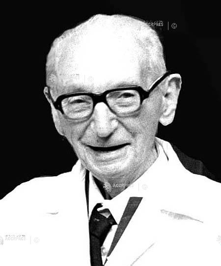 Remember. Ion Jalea (1887-1983)