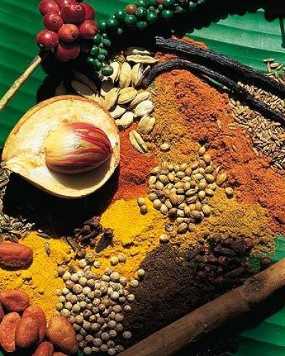 Beneficiile ardeiului şi piperului