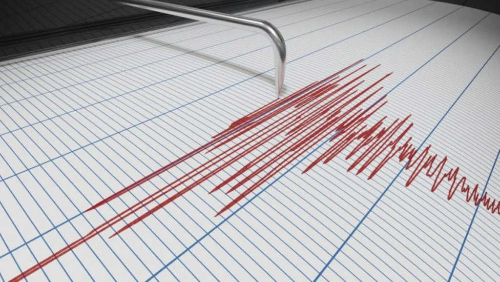 Două cutremure în zona seismică Vrancea