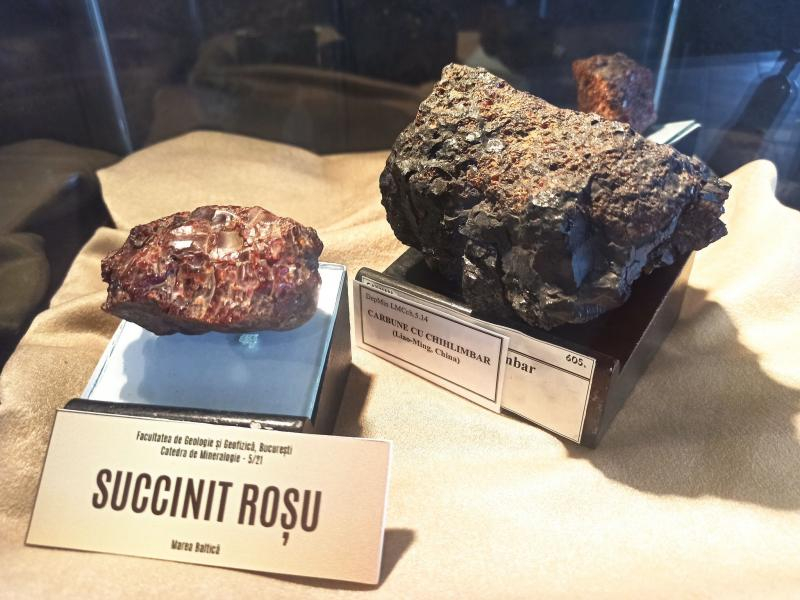 Expoziţie dedicată chihlimbarului, la Ştiinţele Naturii. Bijuterii de vânzare