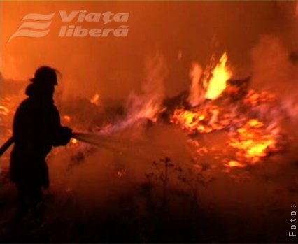 Incendiu de vegetaţie 