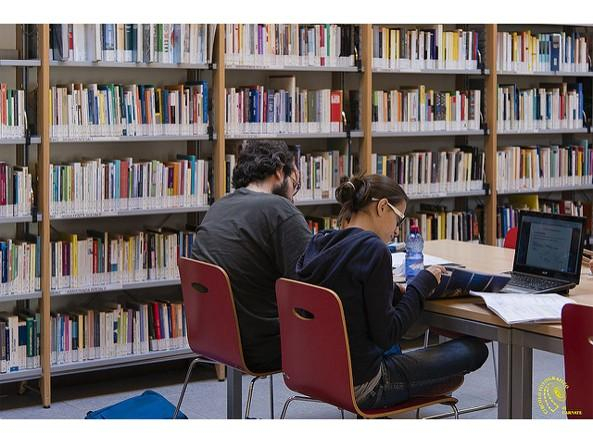 Burse de studiu în Germania