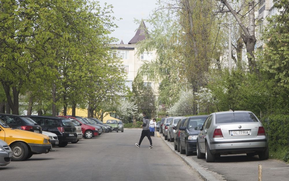 REPORTAJ/ Micro 16, unul dintre CELE MAI CURATE cartiere din Galaţi, dar sufocat de CÂINI, GOLANI şi MAŞINI (FOTO)