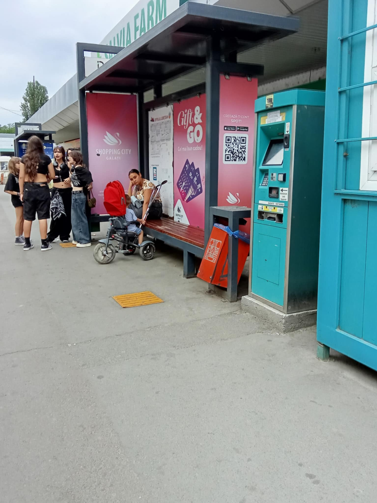 Cine spală şi dezinfectează refugiile Transurb