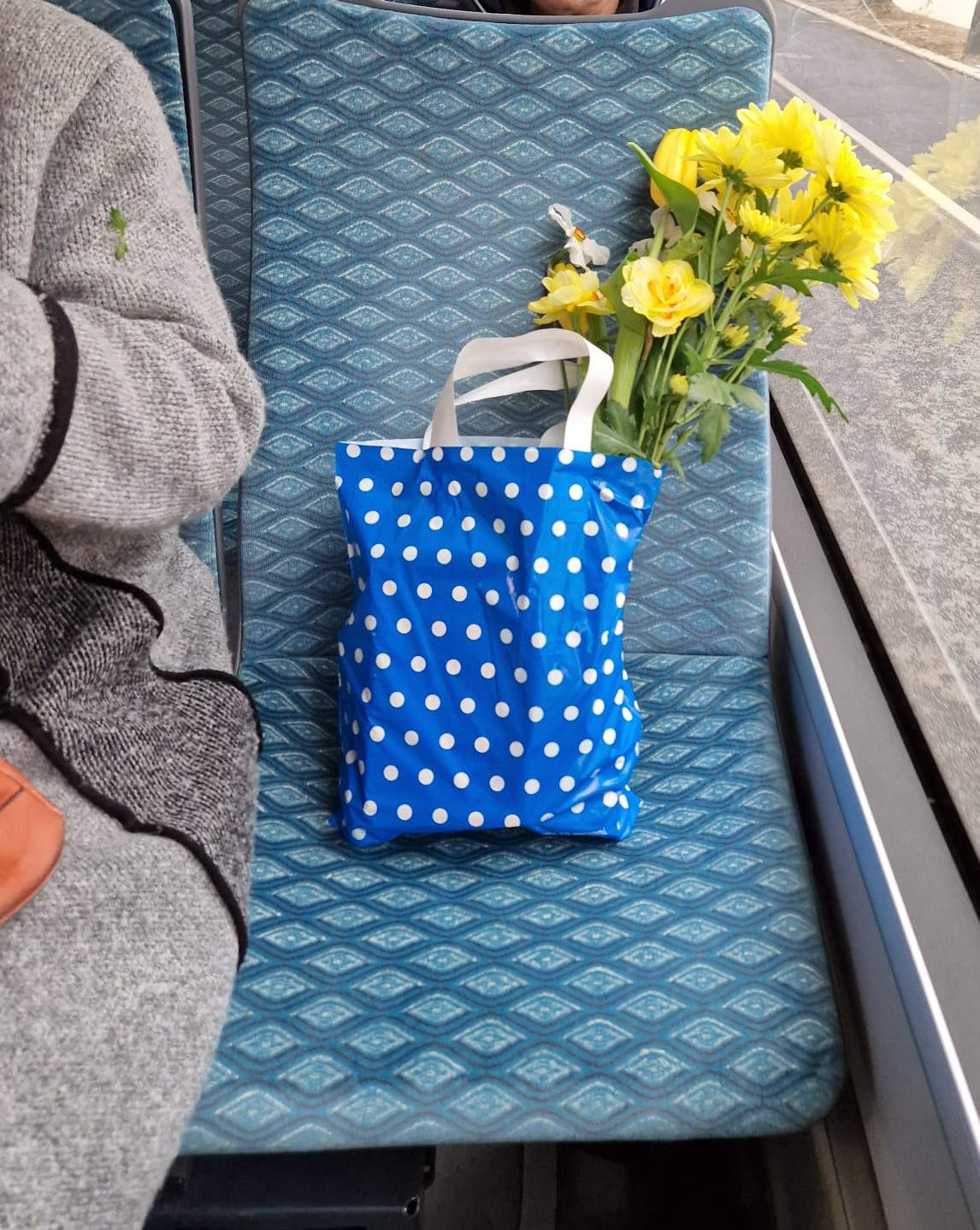 Poza zilei: Primăvara călătoreşte cu Transurb