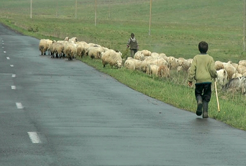 Peste 1.000 de elevi au legat şcoala de gard
