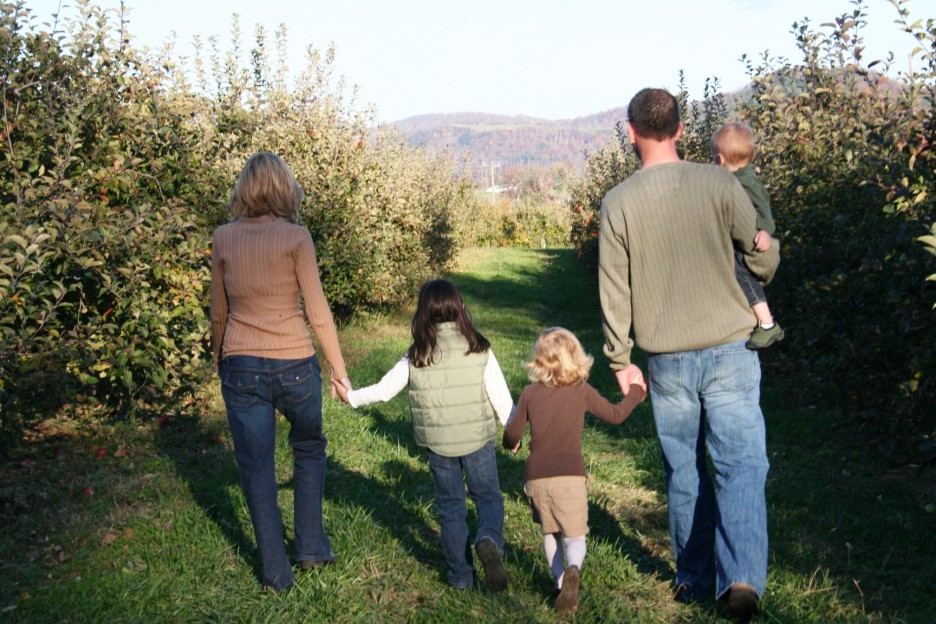 Sprijin de la stat pentru fermele familiale