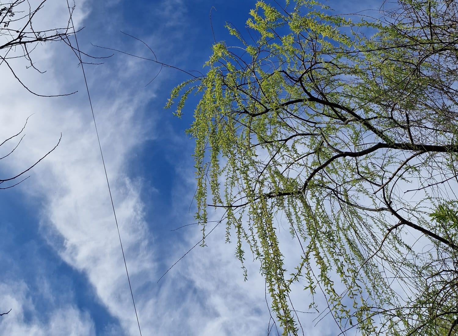 Vreme frumoasă şi o uşoară instabilitate