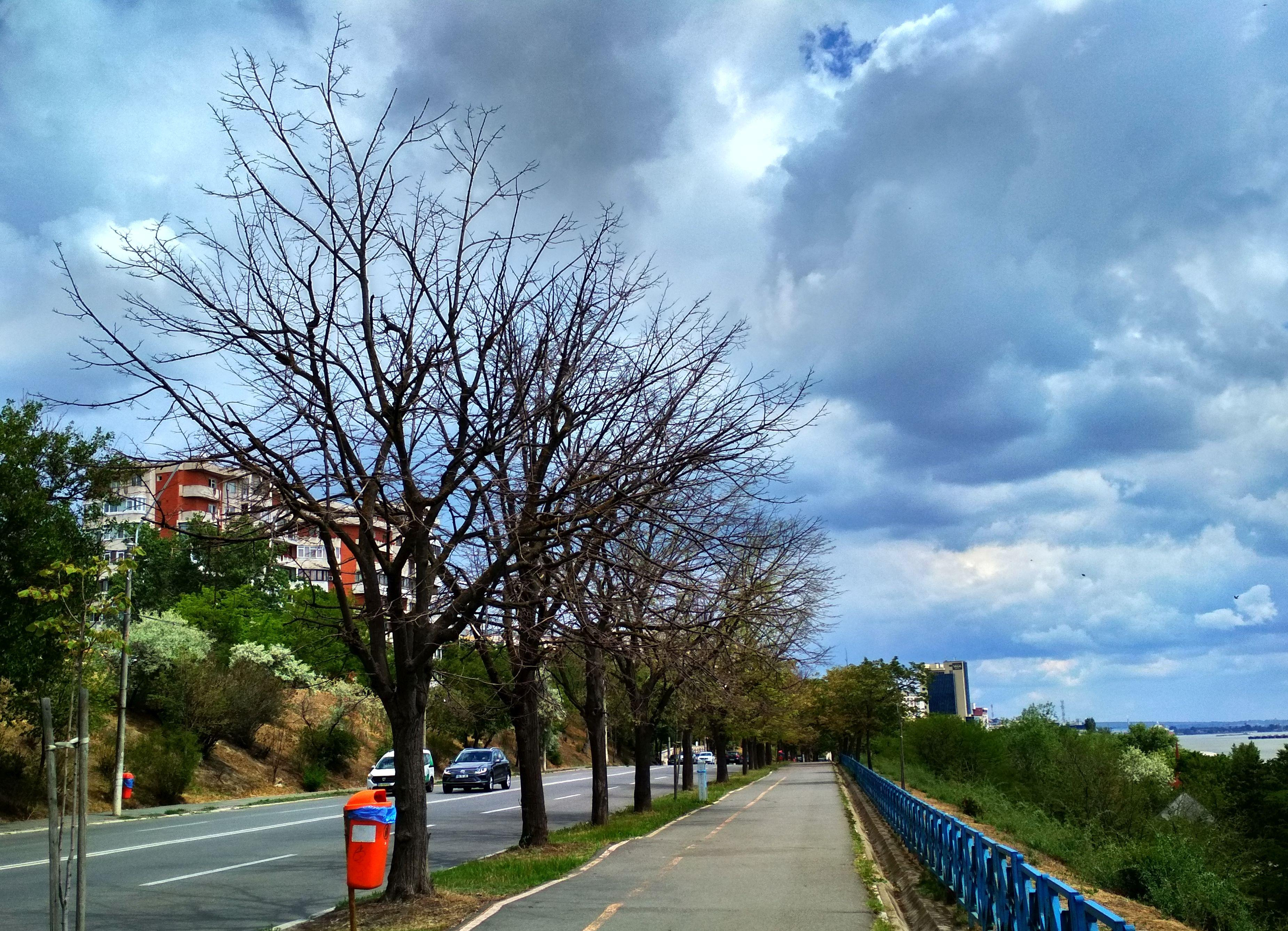 Faleza teilor uscaţi (FOTO)