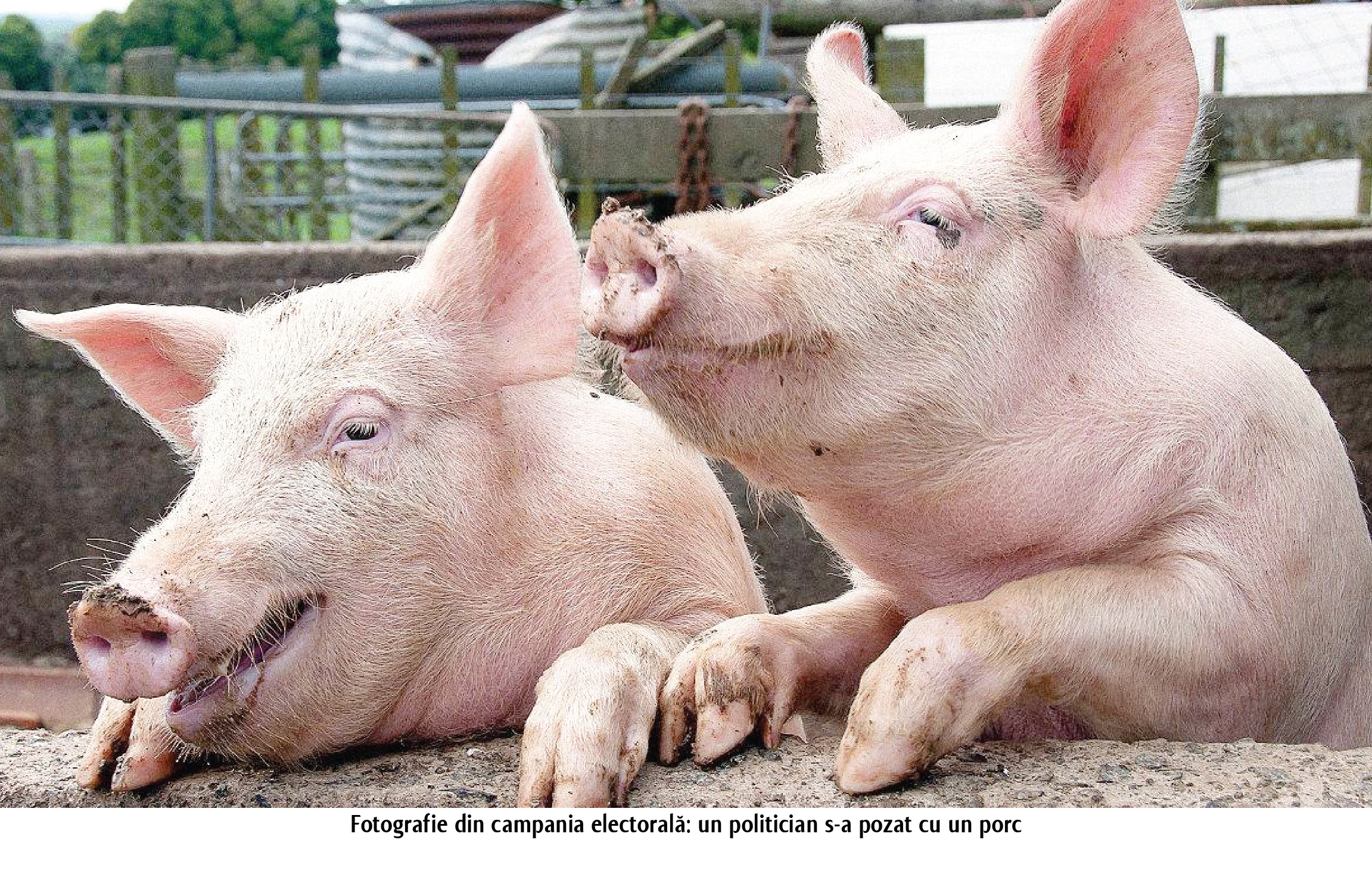 Zâmbete de weekend | Cum va arăta Galaţiul după alegerile de duminică