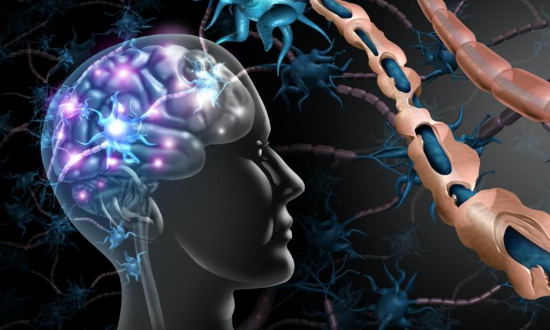 Un virus foarte răspândit ar putea cauza scleroza multiplă