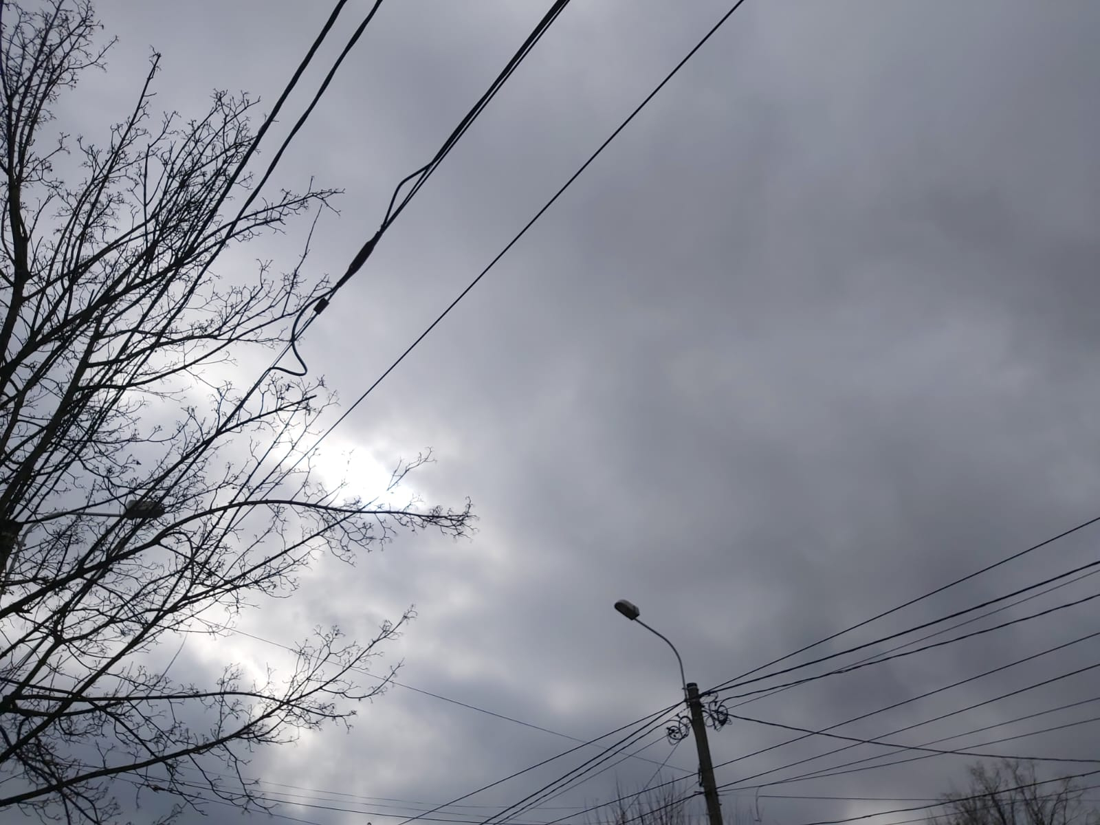 Cod portocaliu de ninsoare şi vânt