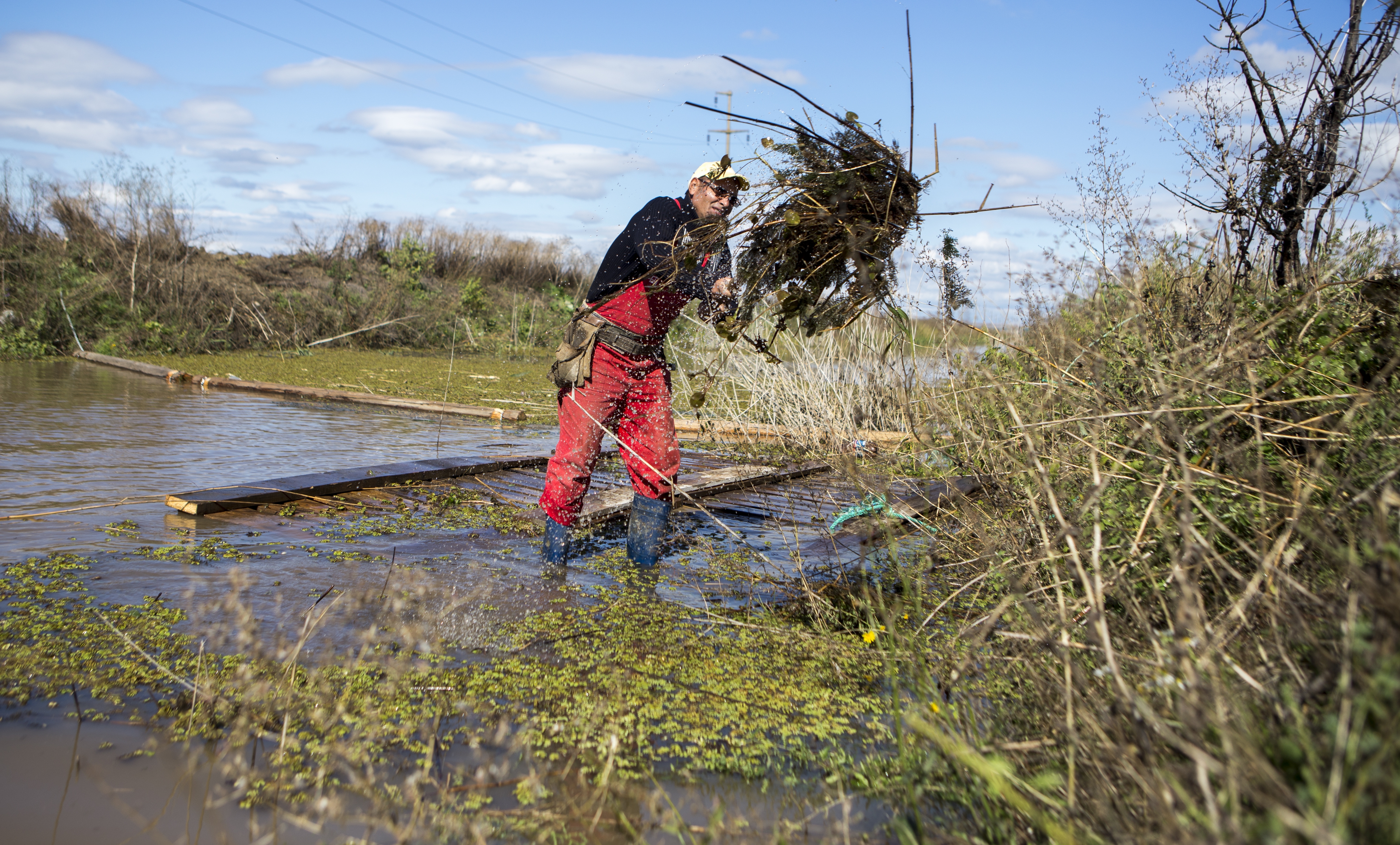 FOTO/ Fermele din lunca Brateşului sunt în continuare grav afectate de inundaţii. Pagubele sunt uriaşe