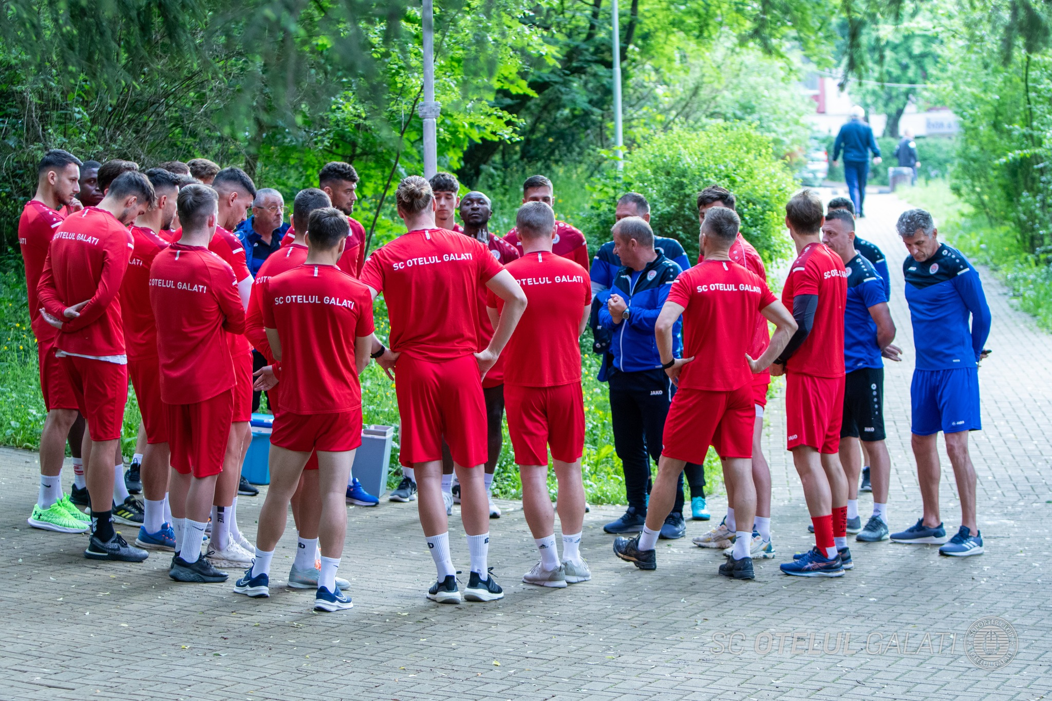 Avantajele și dezavantajele programului Oțelului