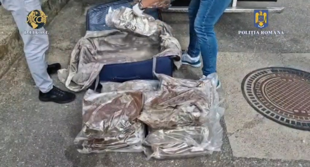 FLAGRANT. Transport de canabis, deturnat în curtea firmei de curierat