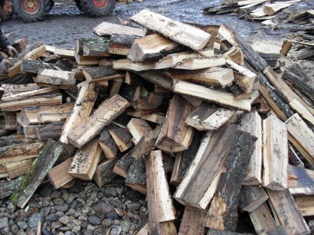 Lemne de foc pentru săracii Galaţiului