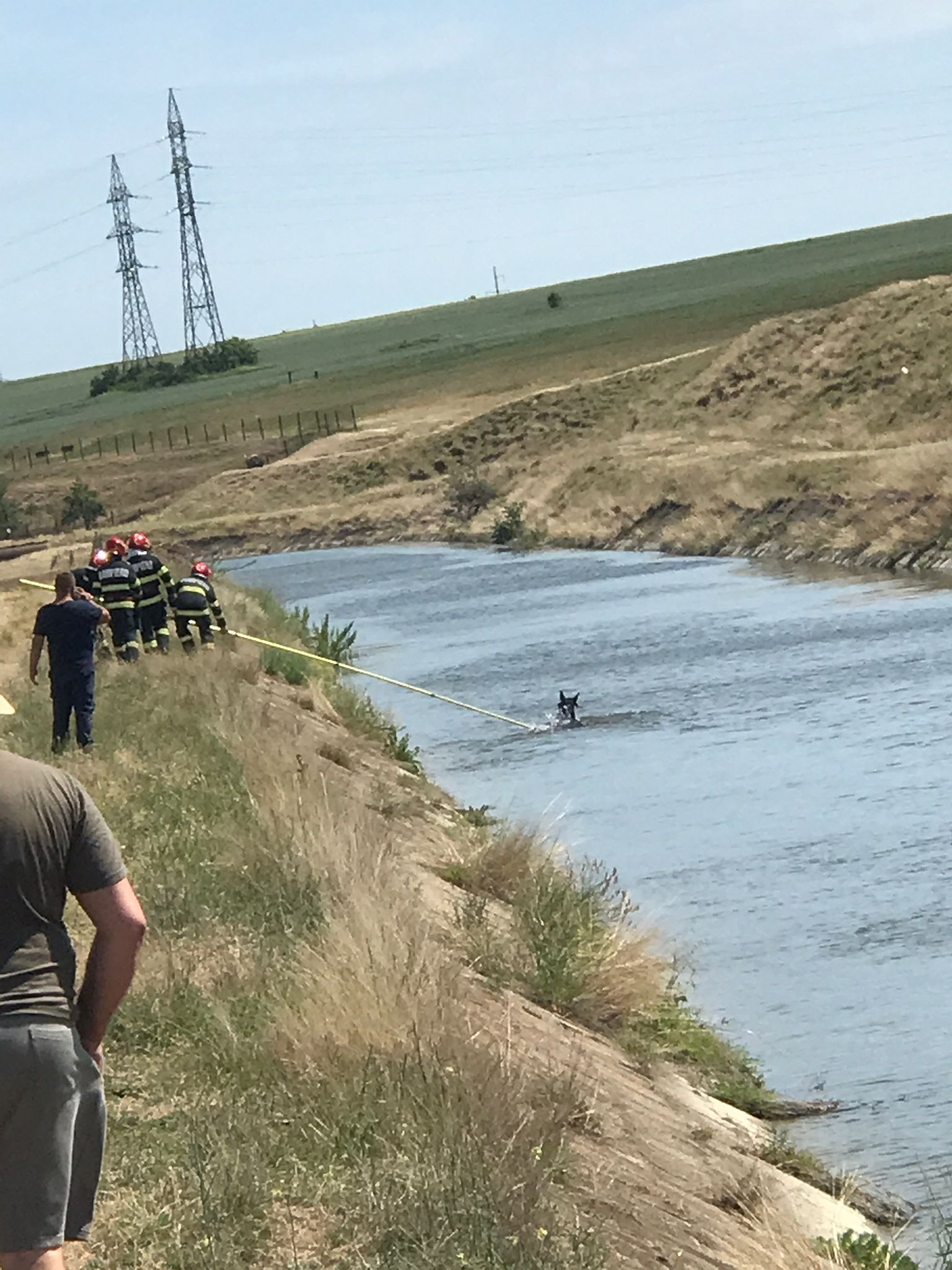 Cal salvat dintr-un canal de irigații