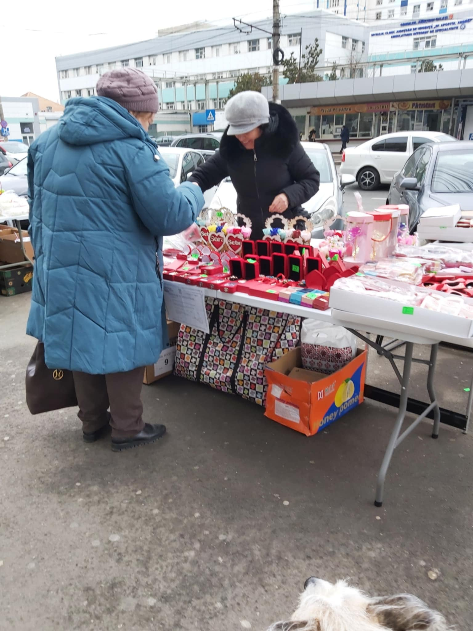 De unde și la ce prețuri pot fi cumpărate mărțișoare în Galați (FOTO)