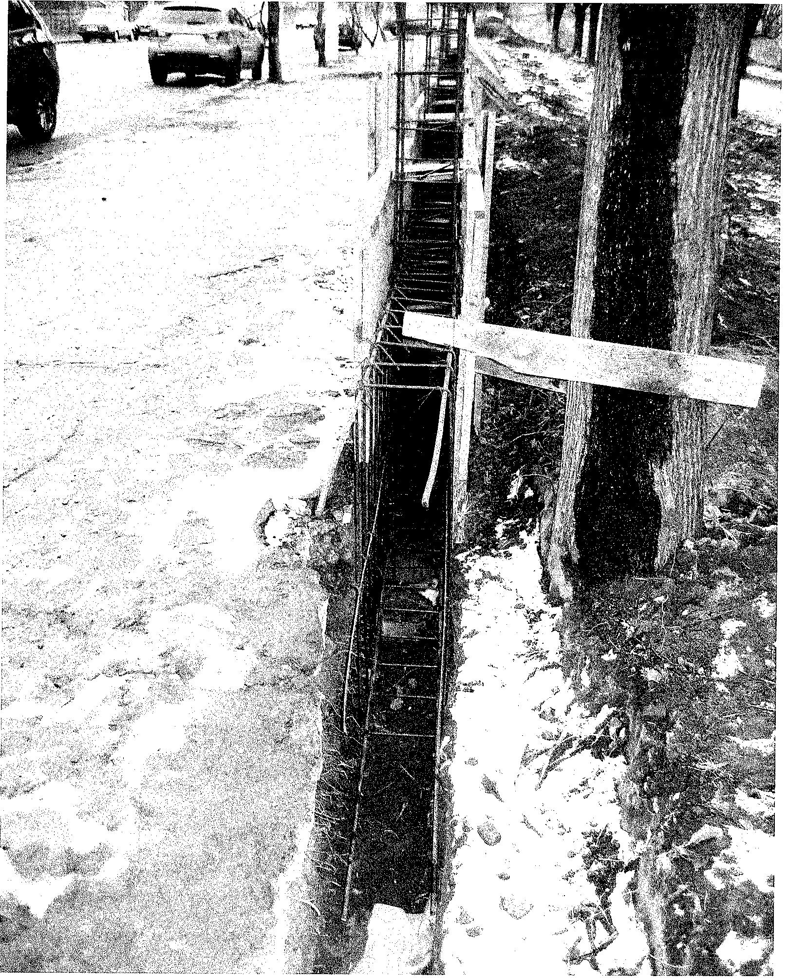 Ofensat de „denigrare şi defăimare”: Primarul apără „ingineriile” din Parcul Rizer