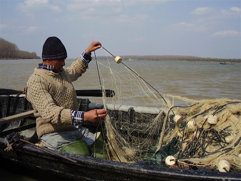 Se anunţă reforme în piscicultură, din 2014