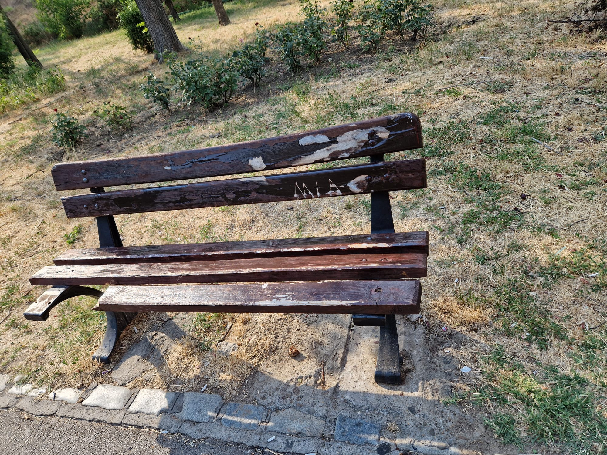 Poza zilei. Atenţie unde vă aşezaţi dorsalul!