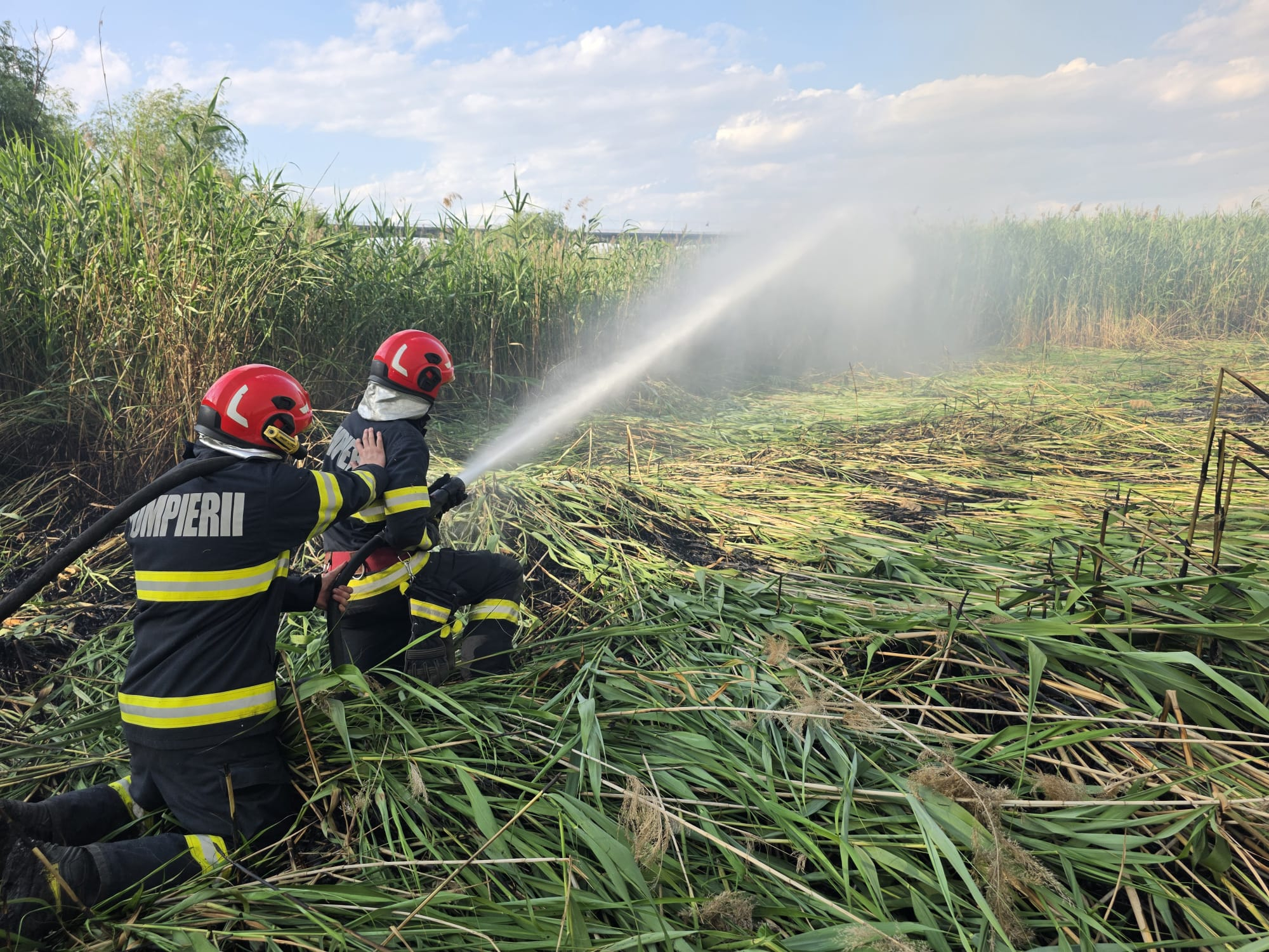 Incendiu de vegetaţie uscată, cu degajări de fum