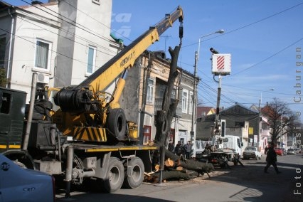 Indiferenţa prinde rădăcini în oraş  