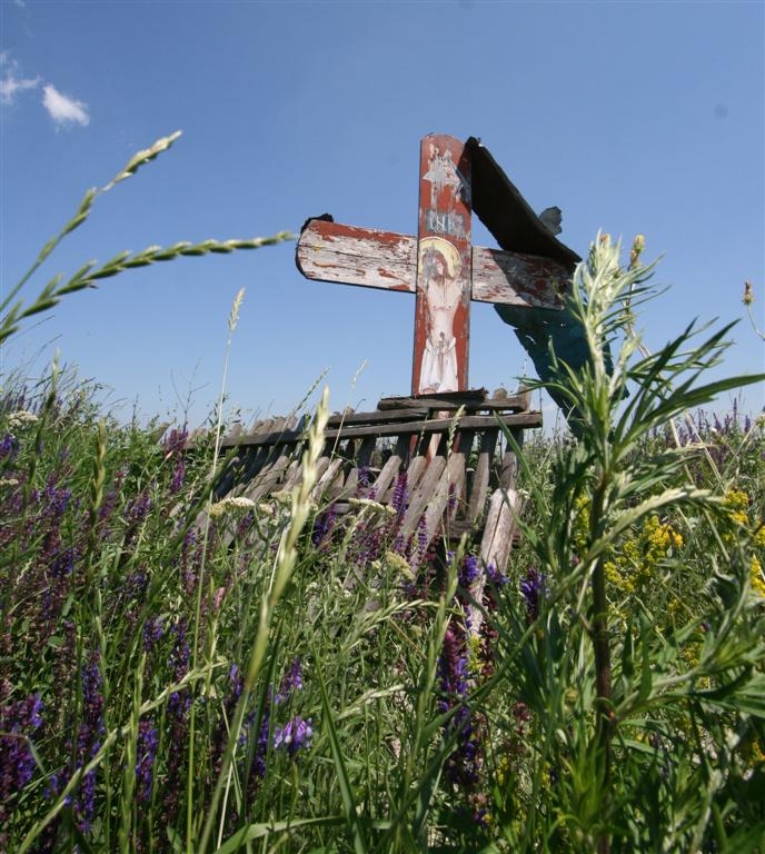 REPORTAJ / Un sat gălăţean mai există doar pe hărţi! Ultimul locuitor a murit acum 35 de ani