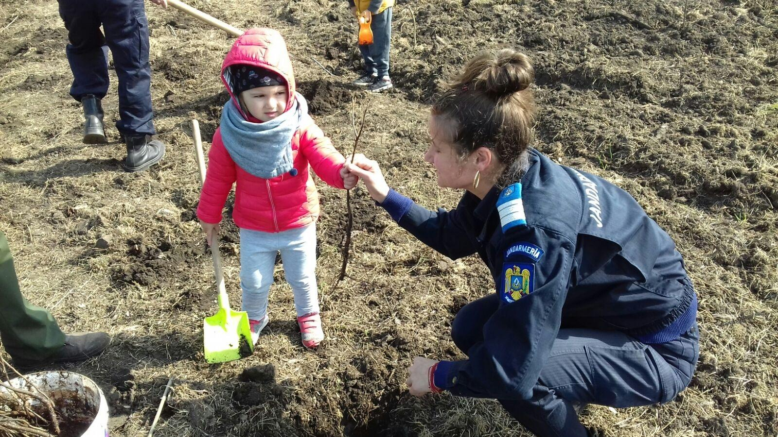 Stejari plantaţi de jandarmi şi de copiii lor