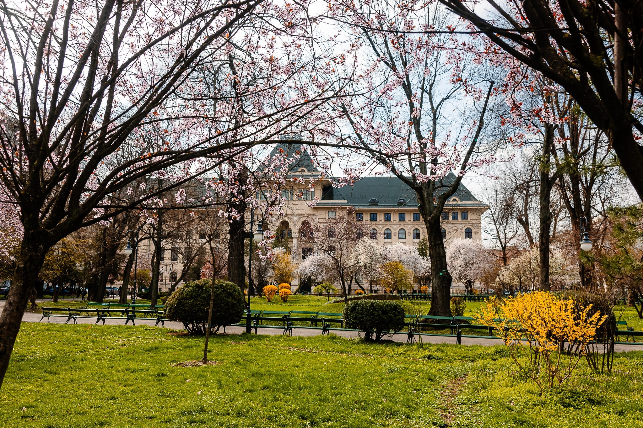 Nouă candidați admiși pentru Primăria Capitalei