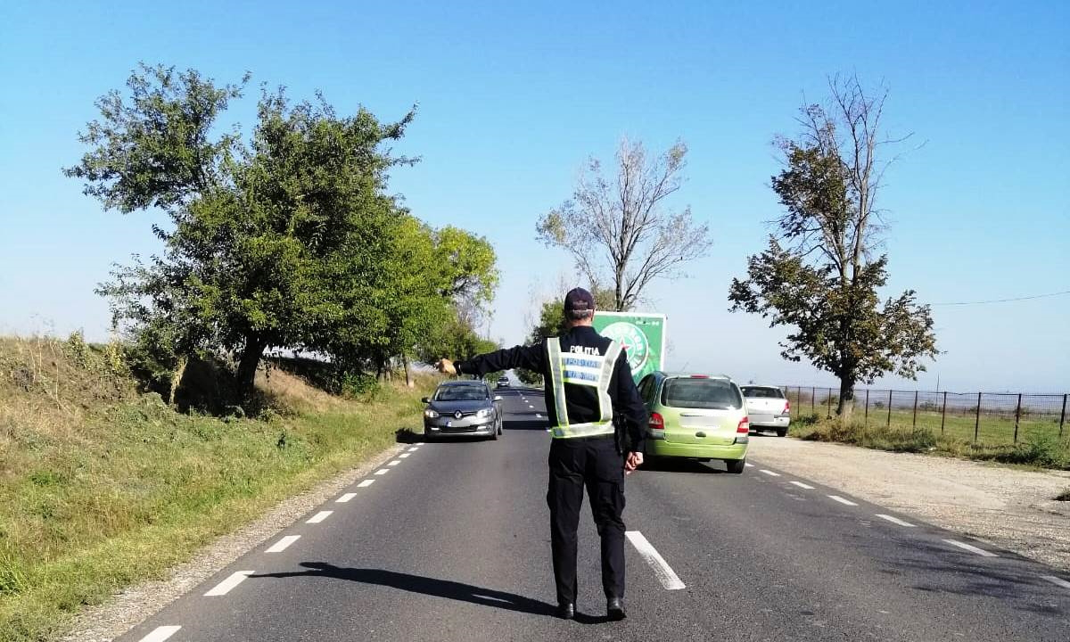 La volan, fără permis de conducere internațional