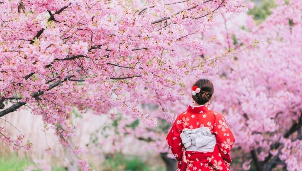 Hanabi - mai spectaculos decât florile de cireş