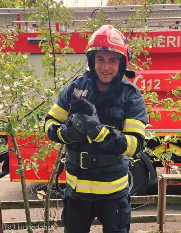 Ceasul rău, pisica neagră, dar norocoasă