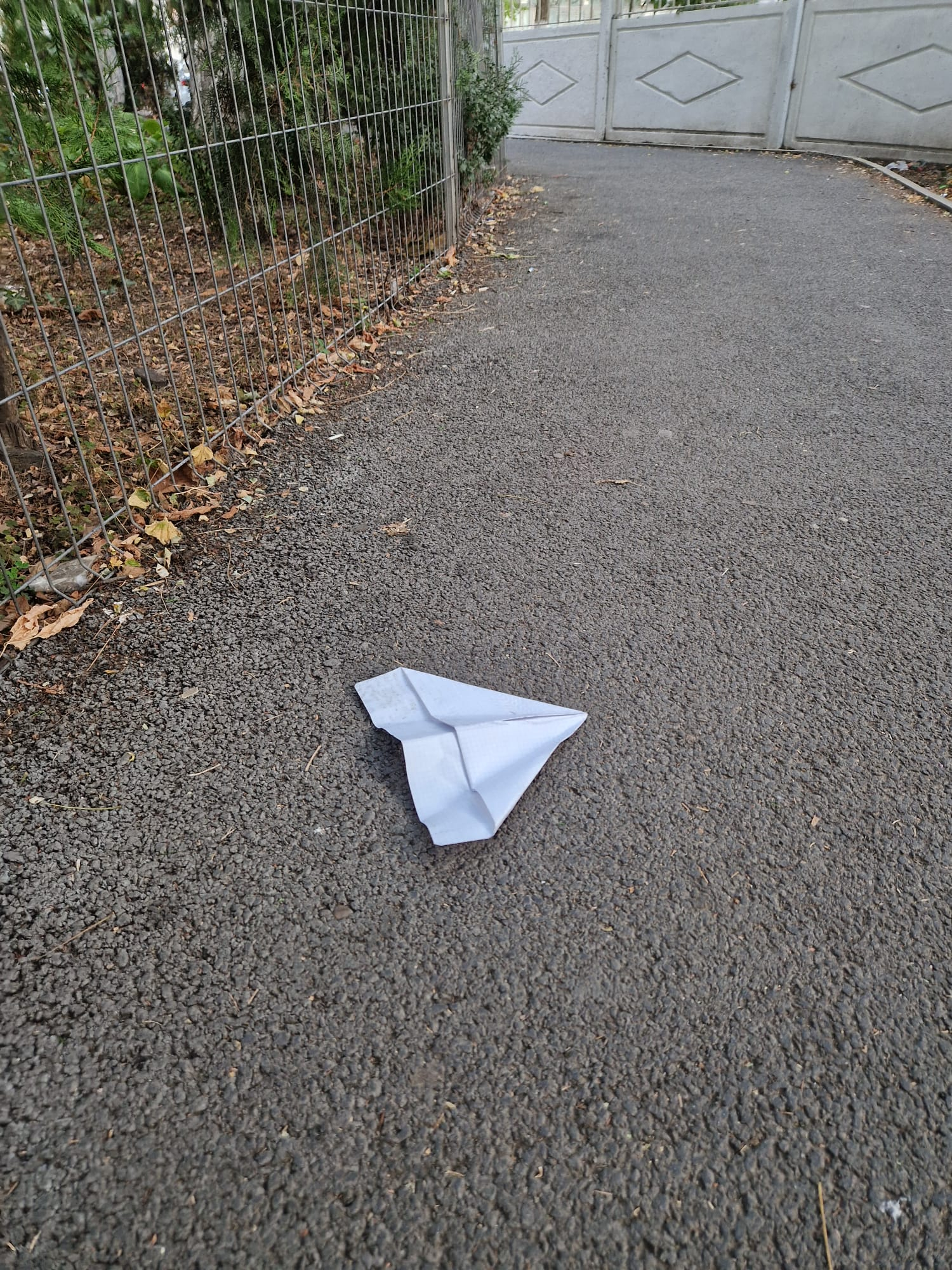 Poza zilei. Tentativă - varianta infantilă