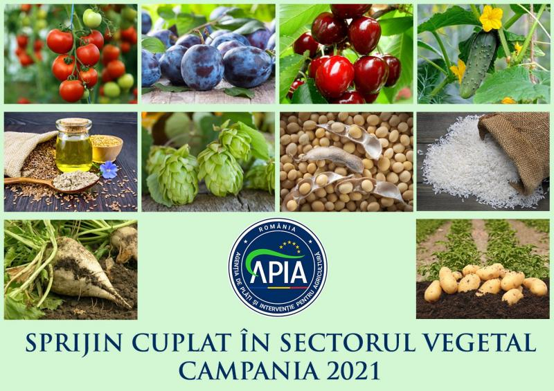 APIA începe autorizarea plăților în sectorul vegetal