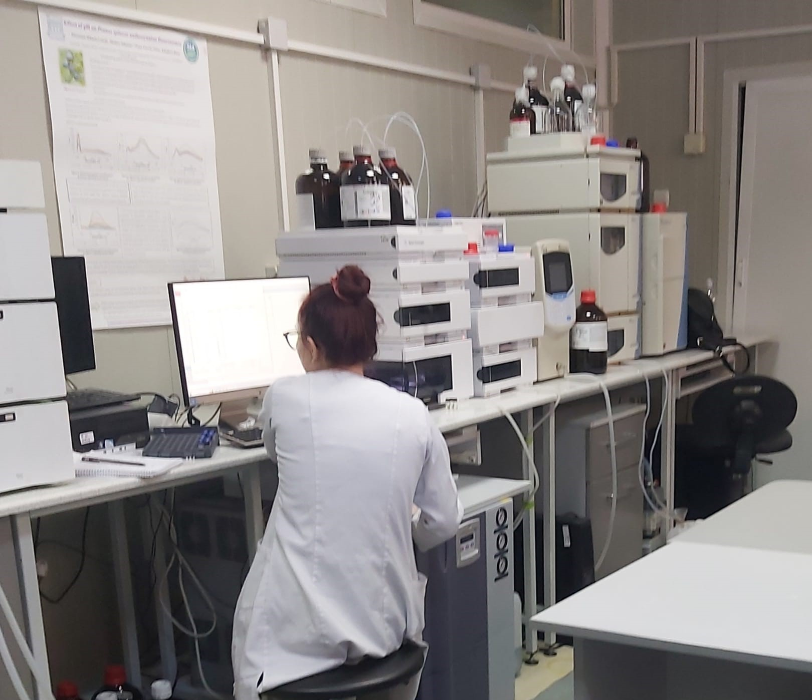 Sisifii din cercetarea românească