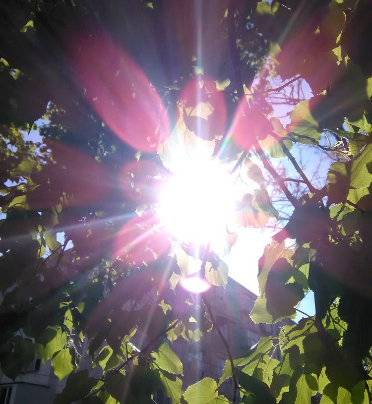 PROGNOZA METEO GALAŢI: Revine căldura! Câte grade vor fi miercuri