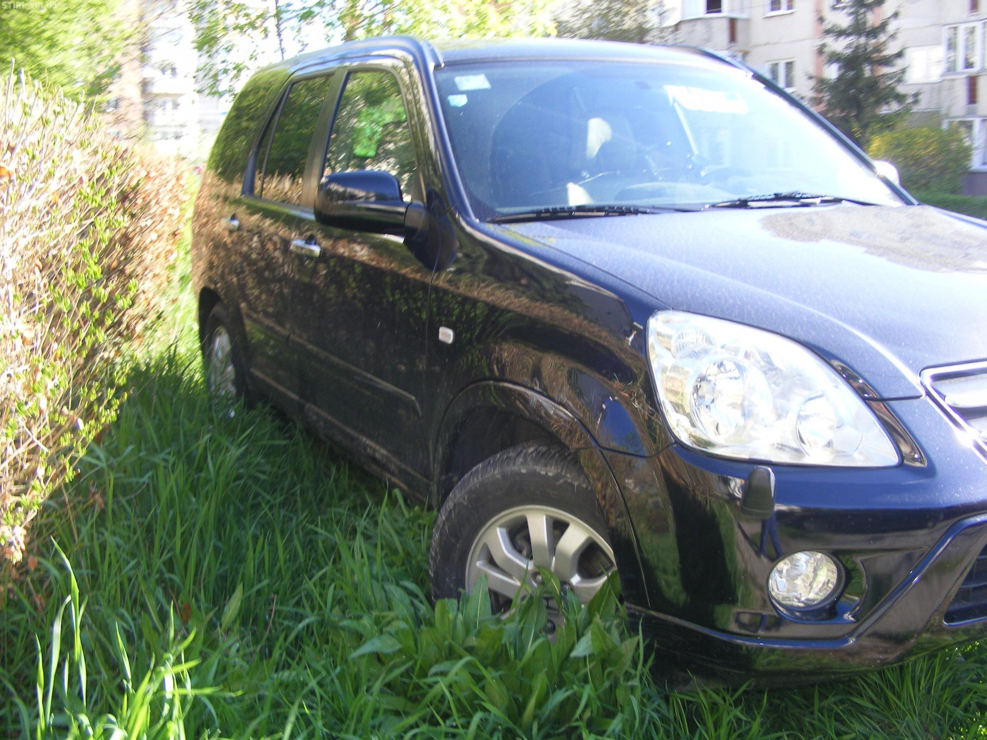 Sancţionat pentru parcarea pe spaţiul verde