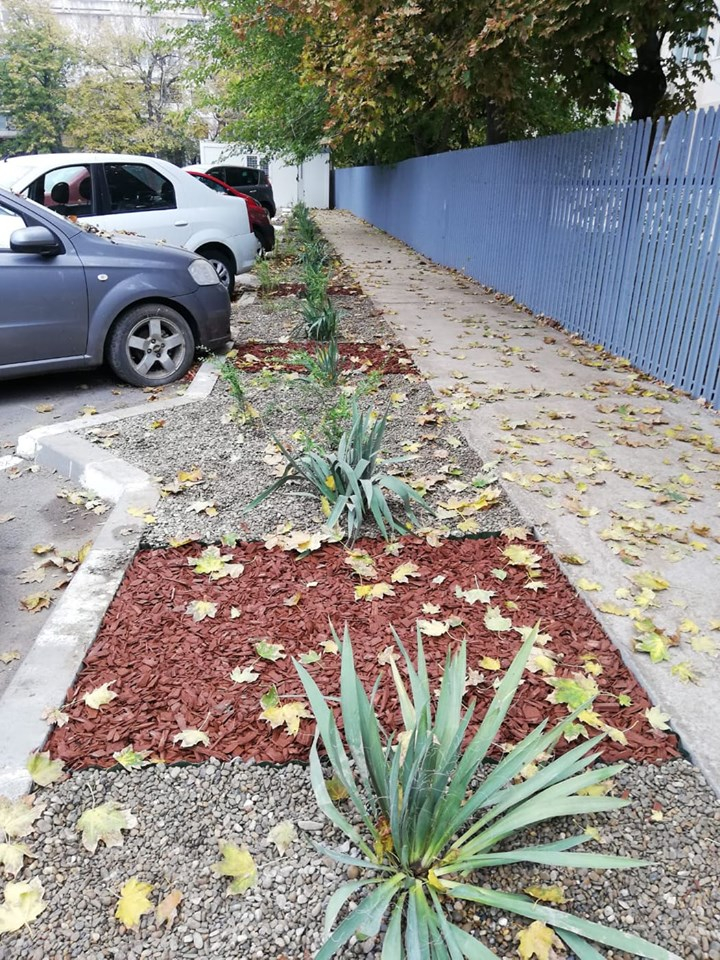 Gospodărire Urbană amenajează noi spaţii verzi