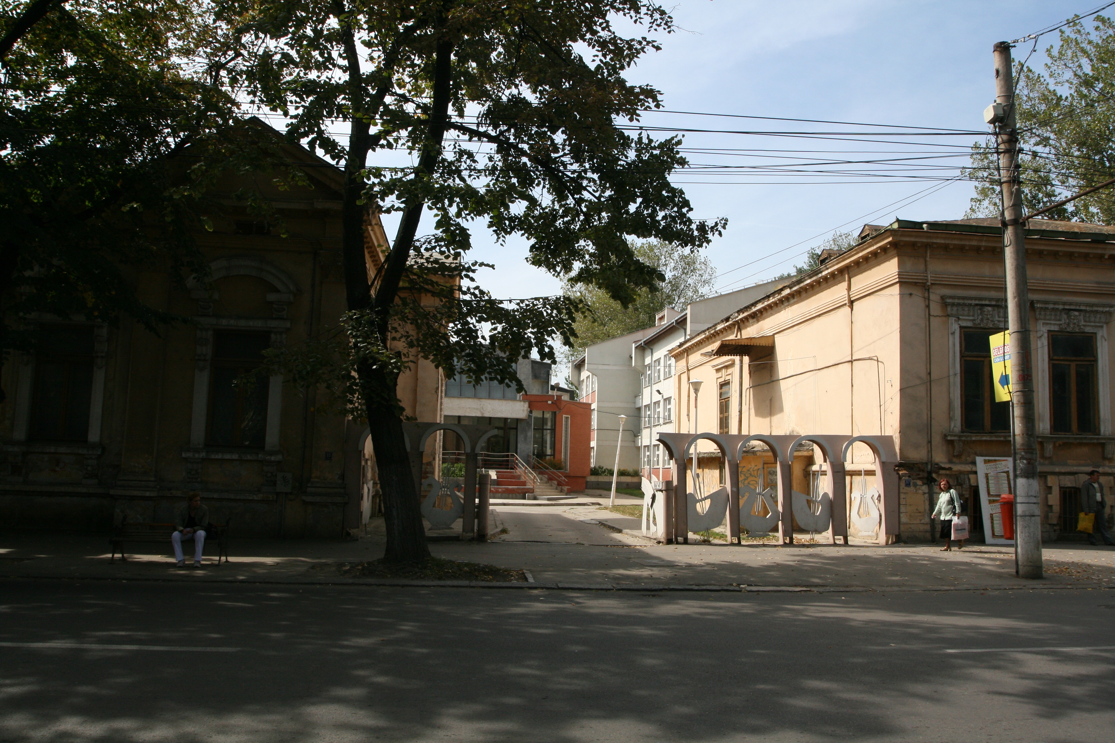 Consiliul de administraţie al ISJ decis schimbarea întregii conduceri de la Liceul de Artă