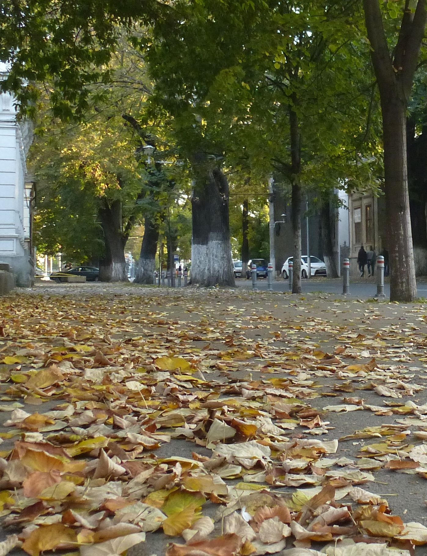 PROGNOZA METEO | Cum va fi VREMEA, joi, la GALAŢI