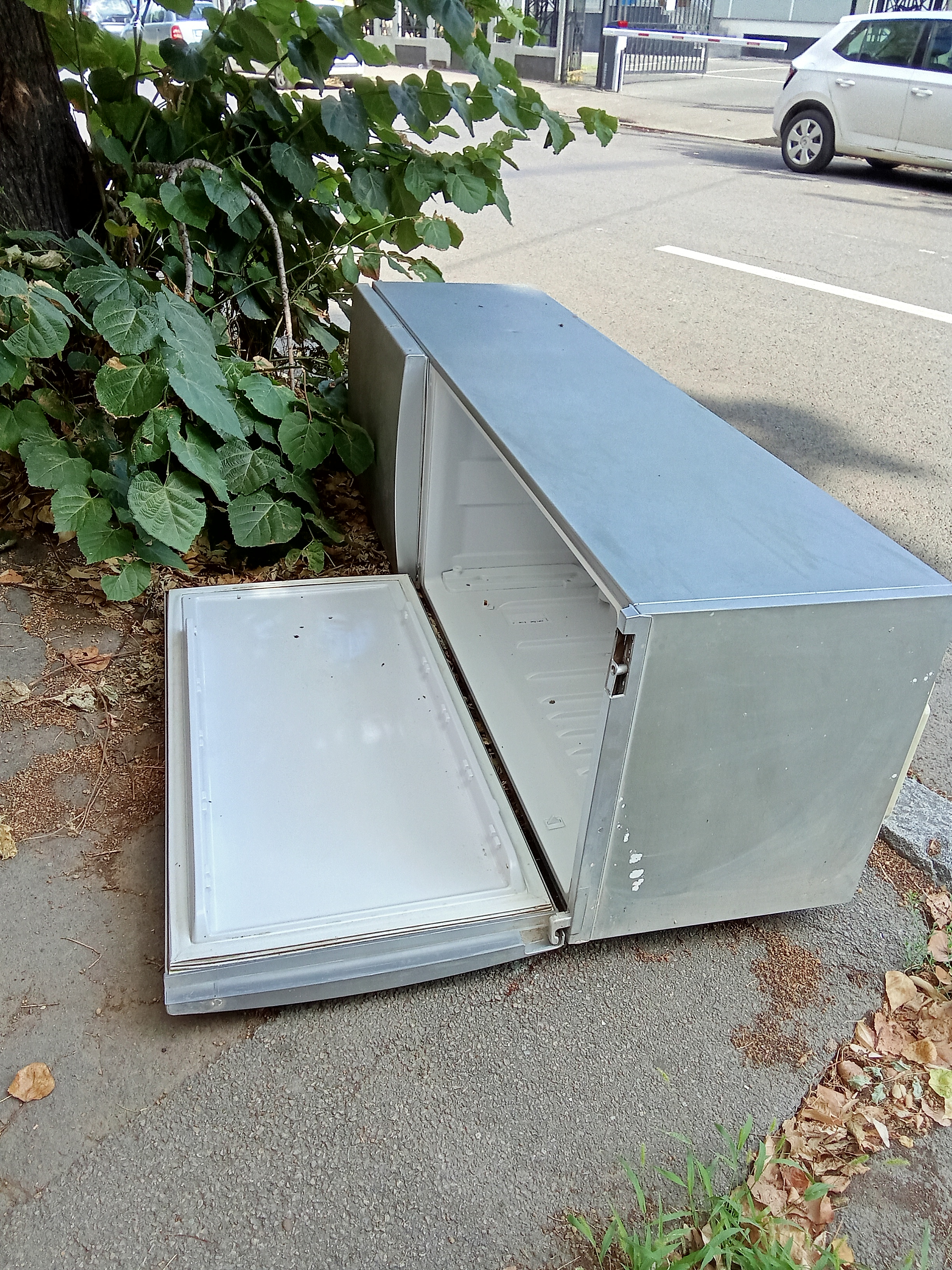 Poza zilei. Cum se „relaxează” frigiderul