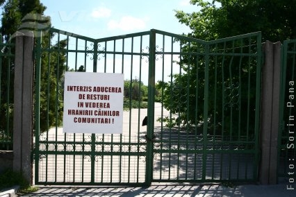 Autoapărare împotriva câinilor comunitari 