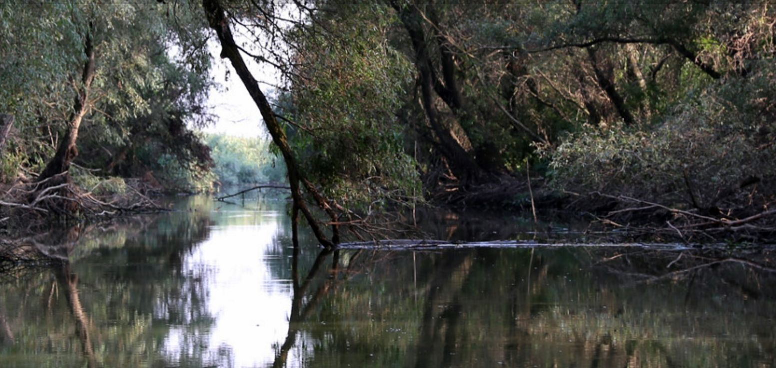 Infrastructura de cercetare DANUBIUS-RI. Ce vor căuta cercetătorii, tematicile strategice majore