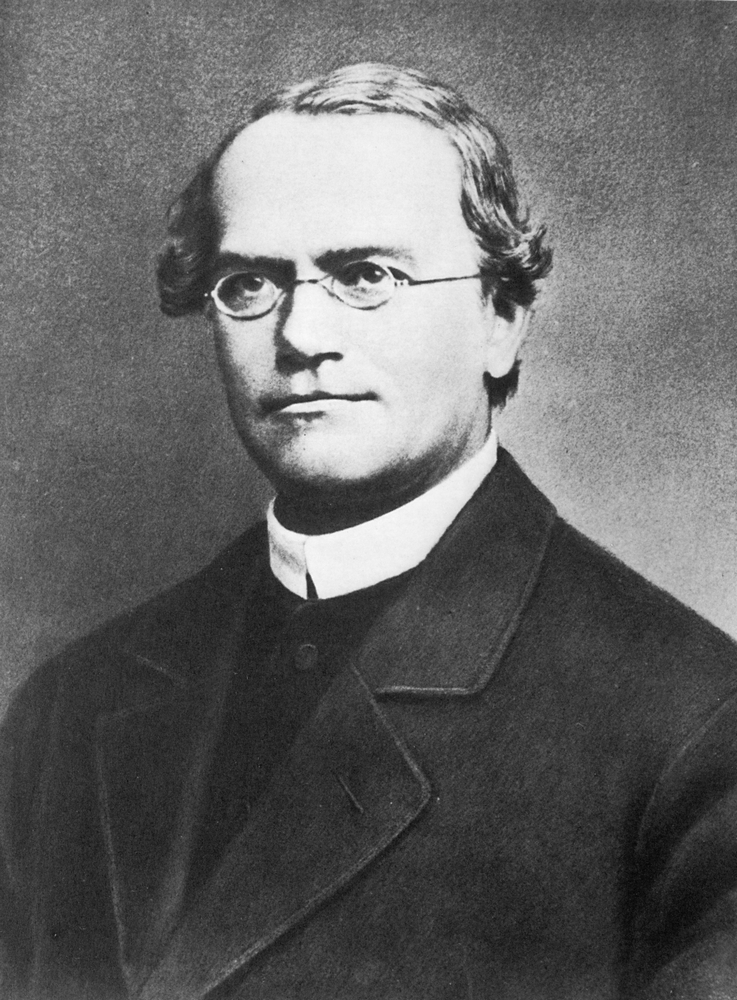 Gregor Mendel, părintele geneticii moderne