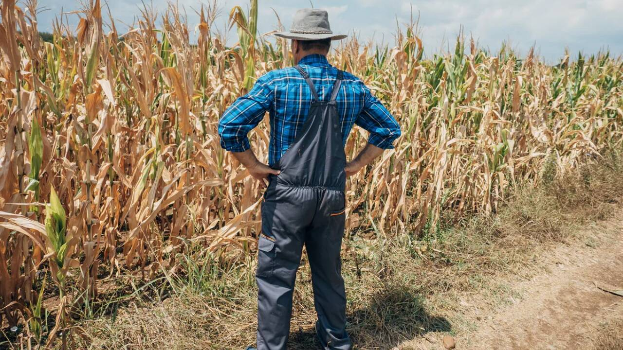 Ratele fermierilor ar putea fi suspendate