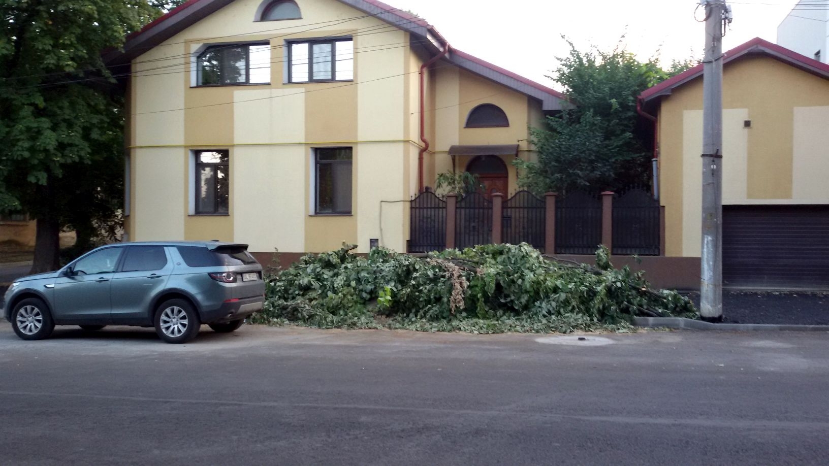 S-a mai tăiat un tei!